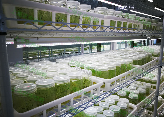 植物组培育苗工厂基本组成与设计要求