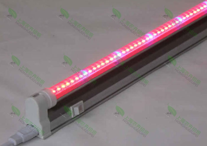 LEDֲרõ